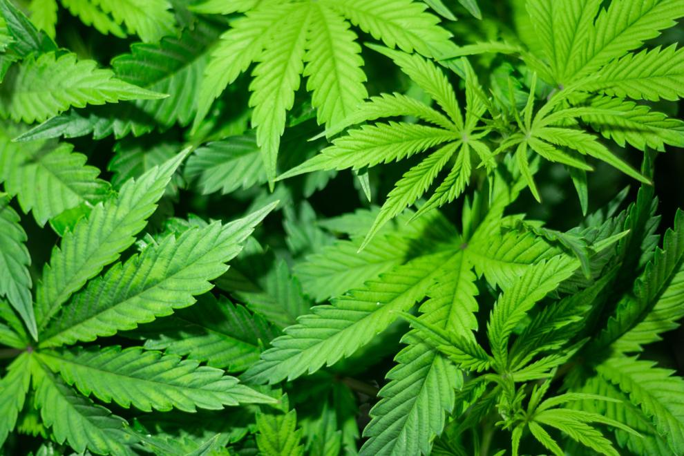 South Beloit Marijuana Dispensary Approved